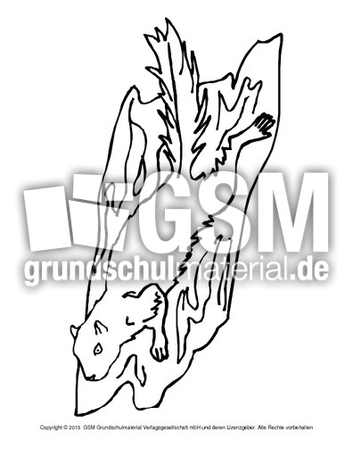 Ausmalbild-Eichhörnchen-A 14.pdf